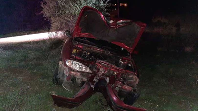 Otomobil Elektrik Direğine Çarptı