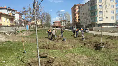 Sungurlu Yeşilleniyor