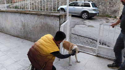 Demir Parmaklıklarına Sıkışan Köpek Kurtarıldı