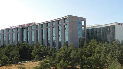 Devrilen Otomobildeki Bir Kişi Yaralandı