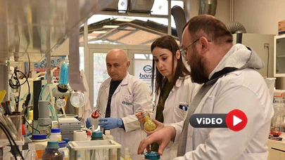 Kemik Erimesi, Borlu Gıda Takviyeleriyle Önlenecek
