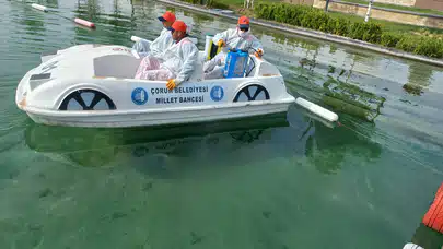 Vektörel Mücadele Devam Ediyor