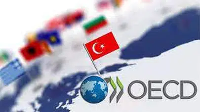 Türkiye, OECD'nin En Yüksek Oranda Büyüyen İkinci Ülkesi Oldu
