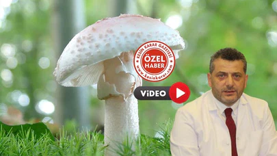 14 Günde 67 Hasta