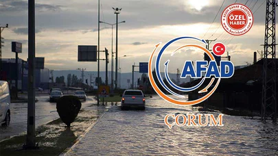 Dikkat, Son Başvuru Tarihi 12 Haziran