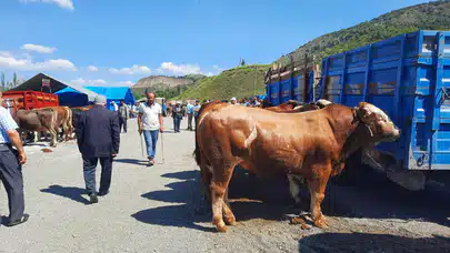 Bayat Hayvan Pazarı Yeniden Açıldı