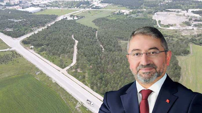 Bahabey Çamlığı, Doğasıyla Büyüleyecek