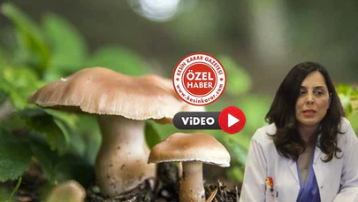 Toplumda ‘Doğru’ Bilinen ‘Yanlışlar’