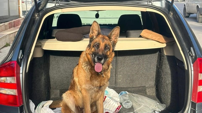 Evden Köpek Çaldığı İddia Edilen 2 Zanlı Tutuklandı