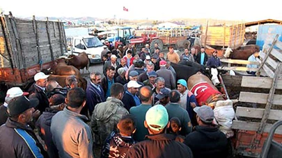 Hayvan Pazarı Bayram Öncesinde Açılacak