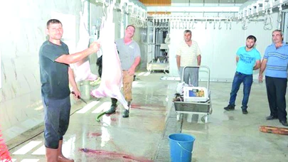 Sungurlu’da Kurban Kesim Yerleri Belirlendi