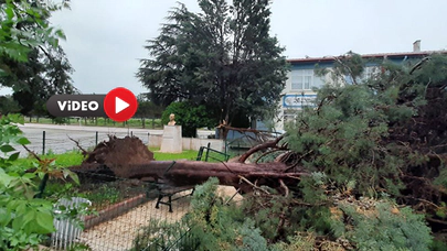 Dört İlçede Sağanak Yağış