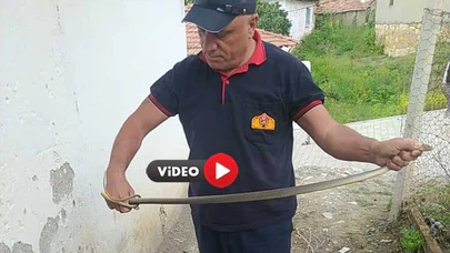 Su Saatine Giren Yılan Paniğe Neden Oldu