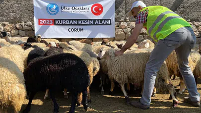200 Kurban, İhtiyaç Sahiplerine Ulaştırıldı