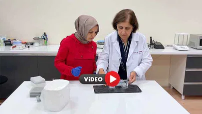 Akademisyenler Doğal Gıda Boyasıyla Renkli Süt Ürünleri Geliştirmeyi Hedefliyor