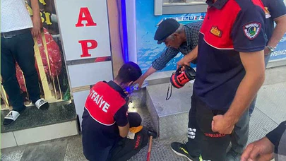 ATM’ye Sıkışan Kedinin İmdadına İtfaiye Yetişti