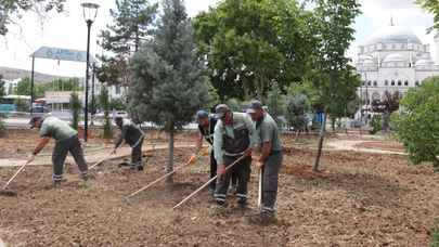 Belediye, Afşin’de Peyzaj Çalışması Yapıyor  