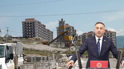 Emekli TOKİ, Meclis Gündeminde
