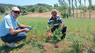 Hibe Tohumdan Üretilen Ürünlerin Gelişimi Denetlendi