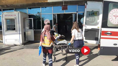 İki Otomobilin Çarpıştığı Kazada 9 Kişi Yaralandı