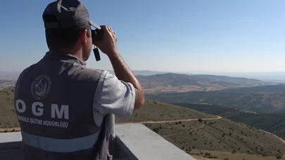 Keskin Gözler Yeşil Doğanın Üzerinde