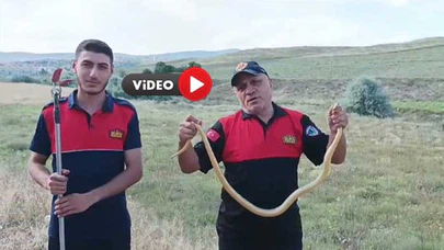 Kur'an Kursu Bahçesine Giren Yılanı İtfaiye Ekipleri Yakaladı