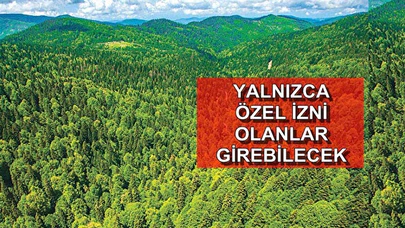 Dikkat: Ormanlık Alanlara Giriş Yasaklandı