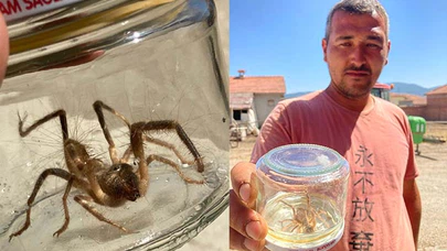 Sarıkız Paniği Sürüyor