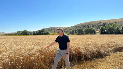 Üretilen Buğday, İhtiyaç Sahiplerine Gidecek