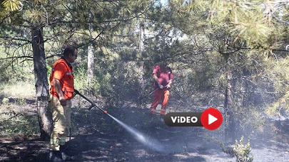 Ormanlık Alanda Çıkan Örtü Yangını Söndürüldü