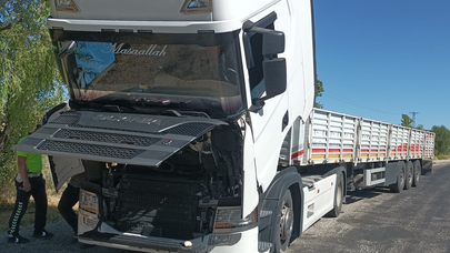 Sıkıştığı Tırda Yaklaşık 170 Kilometre Seyahat Eden Kediyi Polis Kurtardı