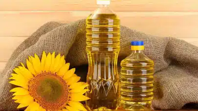 Son Yılların En Büyük Kuraklığı Yaşanıyor: Ayçiçeği Bücür Kaldı