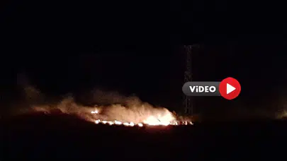 Anız Yangını: Yüzlerce Dönüm Yandı  