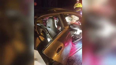 Otomobil Tilkiye, Otomobile De Tır Çarptı