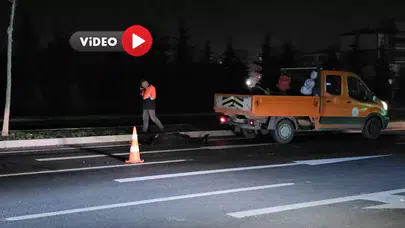 Çorum’da Yolcu Otobüsü Çarptı, Hayvan Telef Oldu