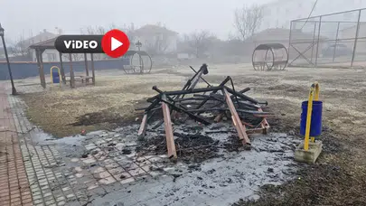 Magandalar İş Başında, Kamelyayı Böyle Yaktılar