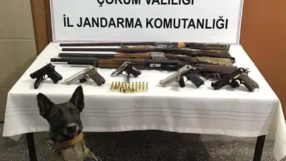 Jandarmadan Ruhsatsız Silah Operasyonu
