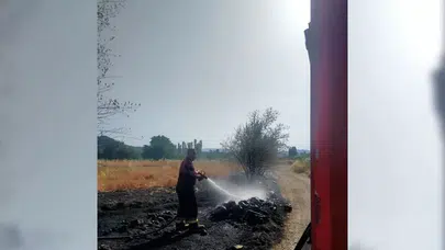 Örtü Yangınında Ağaçlar Zarar Gördü