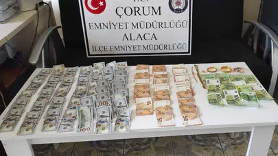 150 Saatlik Görüntü İzlendi, Hırsız Kıskıvrak Yakalandı