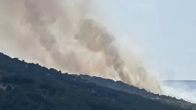 Anız Yangını Ormana Sıçradı