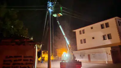 Elektrik Direğine Çarpıp Kaçtı