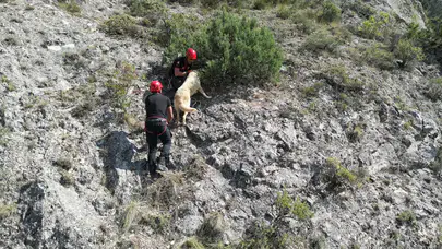 Kayalıkta Mahsur Kalan Köpeği İtfaiye Kurtardı