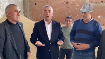 Çeltik Üreticileri: Tüccarın Eline Kaldık