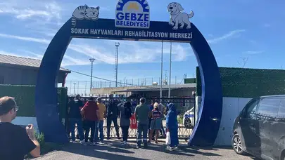 ‘Hayvan Katliamlarına Göz Yummayacağız’