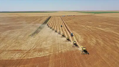 2025 Genel Tarım Sayımı Başladı