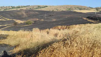 Tahtasız'dan Yangın Sonrası Köylülere Teşekkür ve 'Geçmiş Olsun' Mesajı