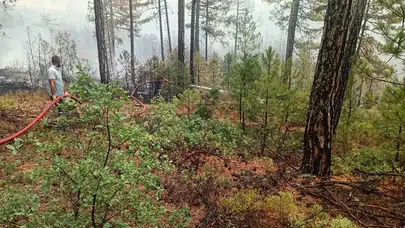 Alaca İtfaiyesi, Bursa'daki Yangın Mücadelesine Destek Veriyor