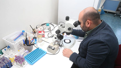 30 Bini Aşkın Kene Bilimsel Çalışmalar İçin Saklanıyor