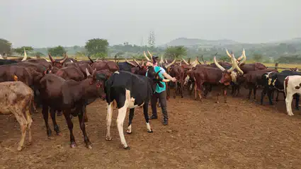 Kurban Hisse Bedelleri Açıklandı
