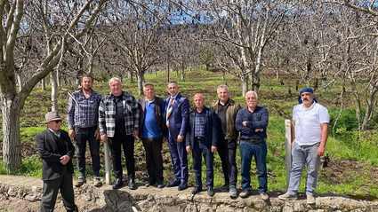 Oğuzlar'da Ceviz Ağaçlarını Don Vurdu